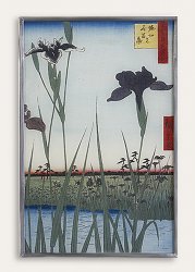 The Iris Garden at Horikiri, Hiroshige