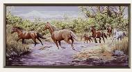 Wild Horses in America