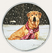 Cold Nose, Warm Heart