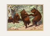 What Bears Do