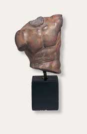 Male Torso